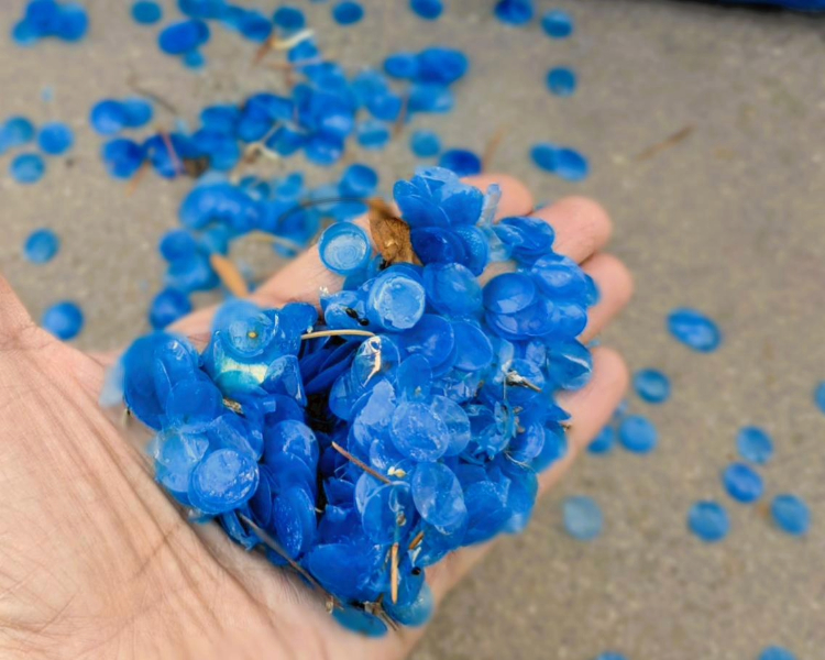 Solar cover bubble deterioration example